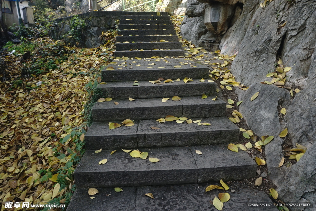石板台阶黄色落叶