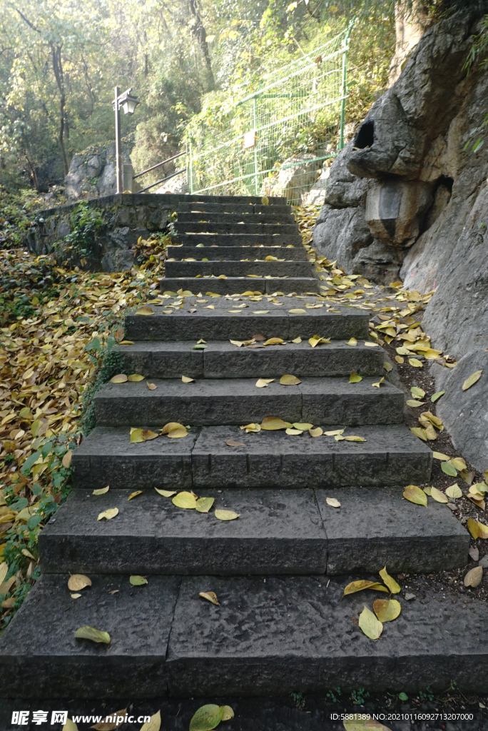 石板台阶黄色落叶