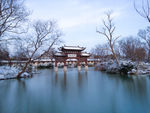 锦泉花屿