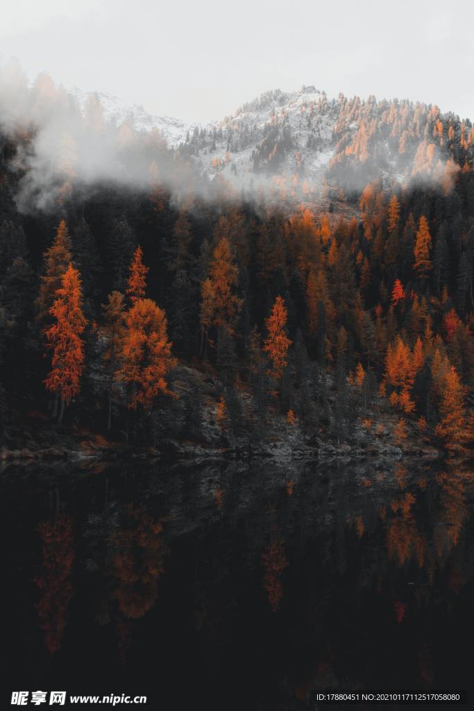 山林