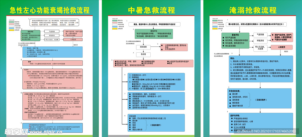 急性心功能衰竭 中暑淹溺抢救流