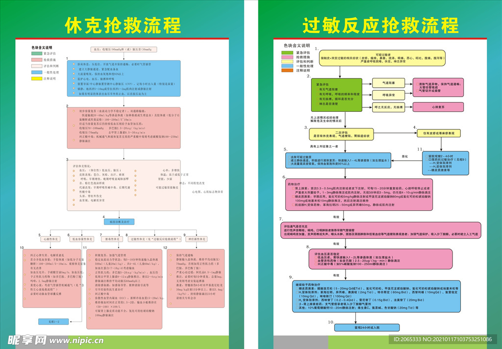 休克 过敏反应抢救流程