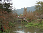 旅游区