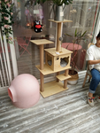 宠物屋