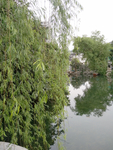 旅游区