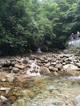 旅游区