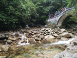 旅游区