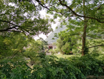 旅游区
