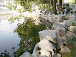 旅游区