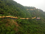 龙