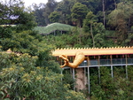 龙