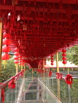 旅游区