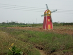 风车