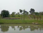 风景
