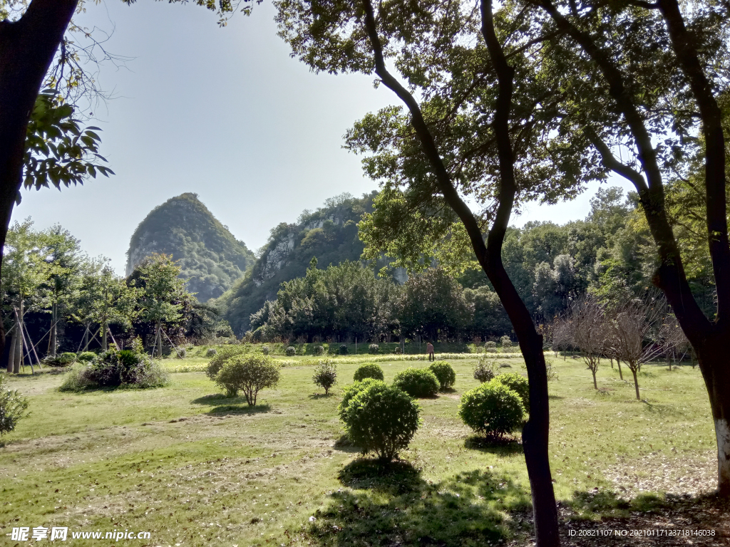 风景
