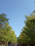风景