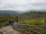 栏杆