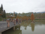 风景