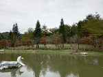 风景