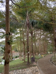 风景