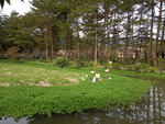 风景