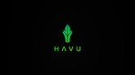 HAVU Gaming战队