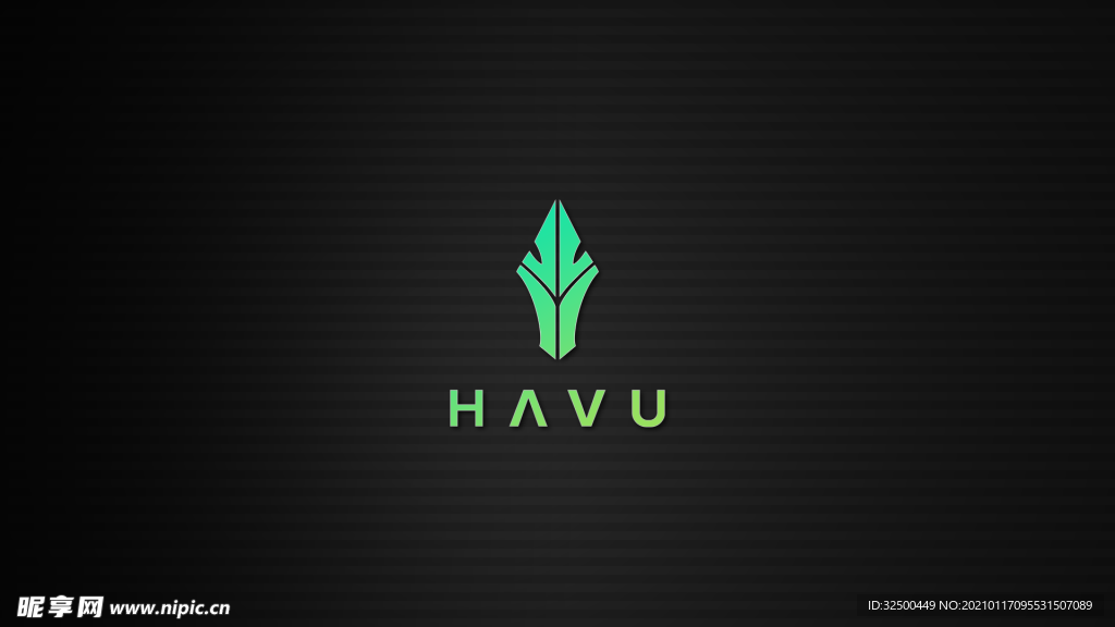 HAVU Gaming战队