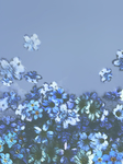 背景素材