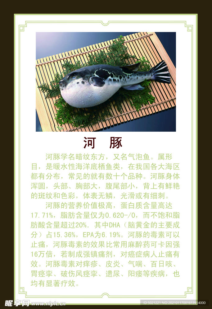 河豚介绍