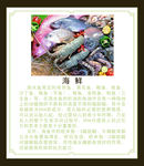 海鲜介绍