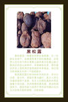 黑松露介绍