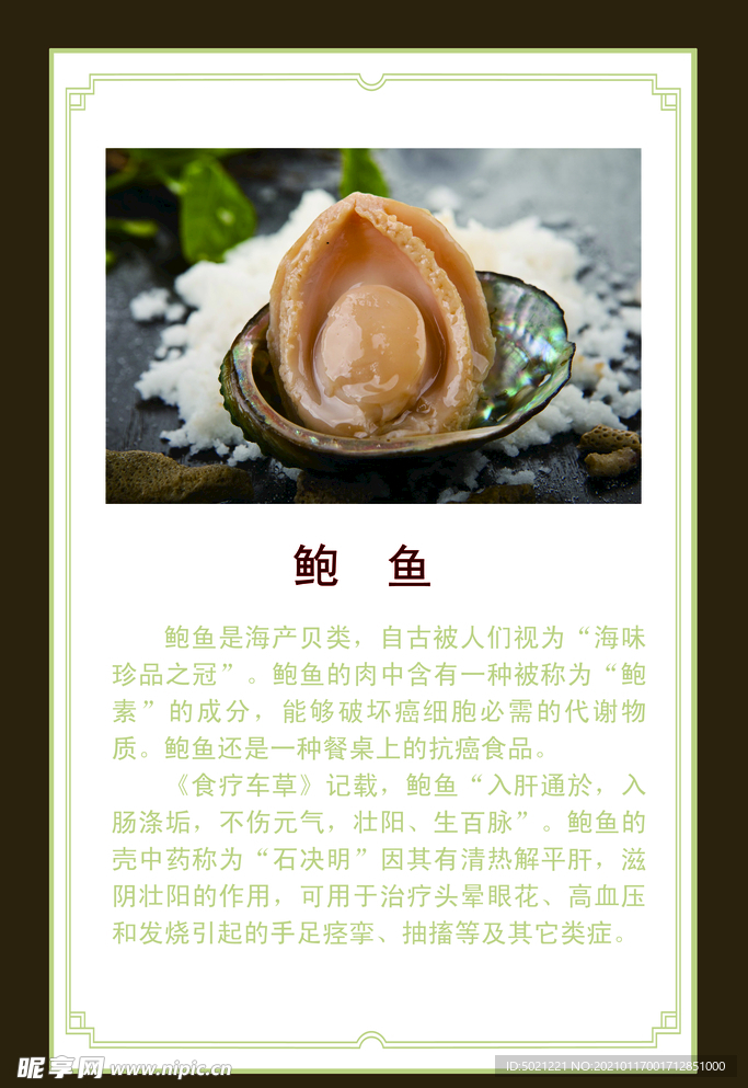 鲍鱼介绍
