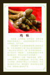 鸡枞介绍
