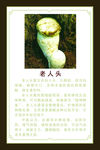 老人头介绍