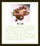 野山菌简介