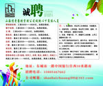 招聘启事