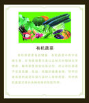有机蔬菜的营养价值