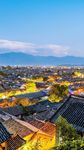 屋顶