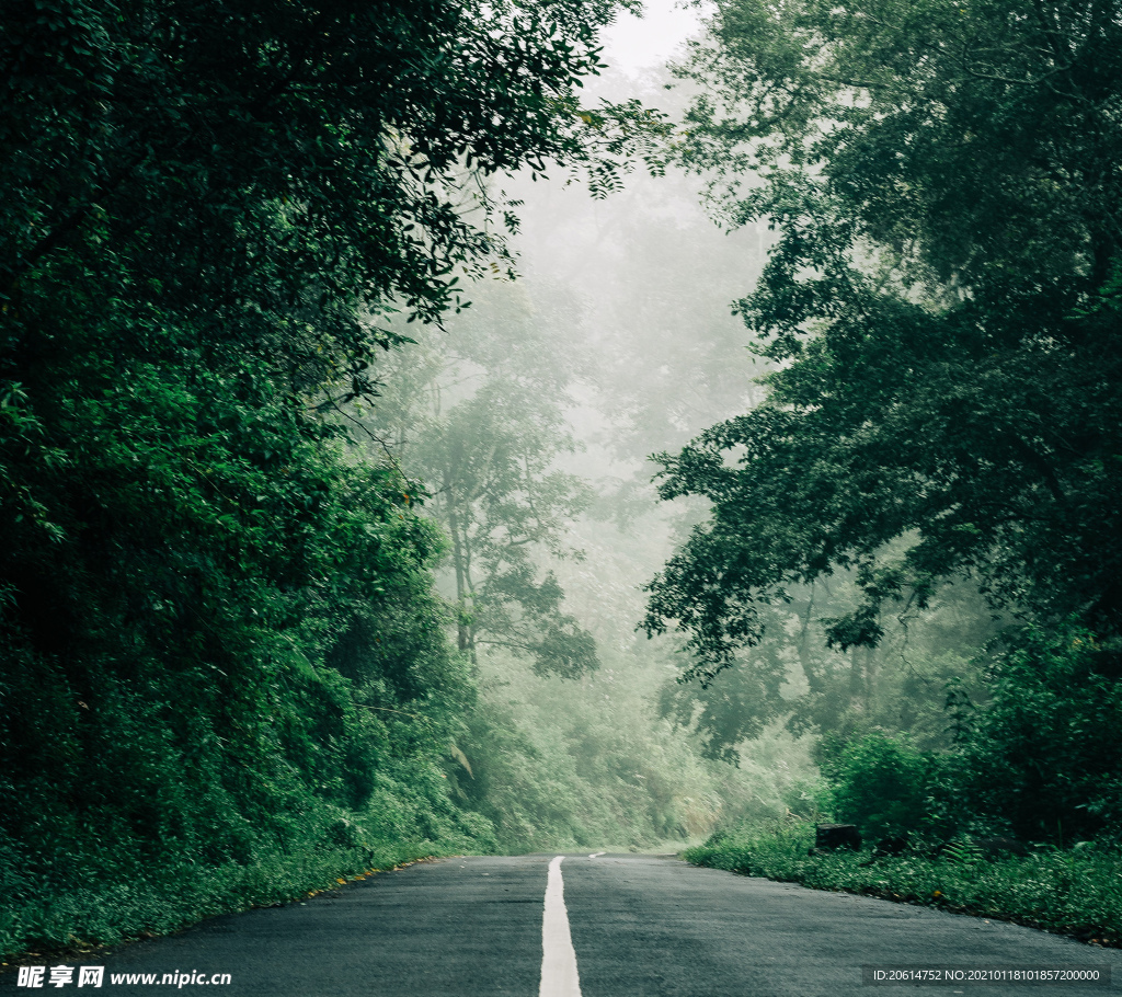 空荡荡的道路