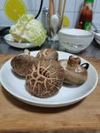 香菇
