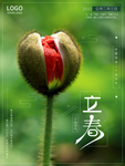 立春