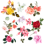 花