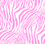斑马纹