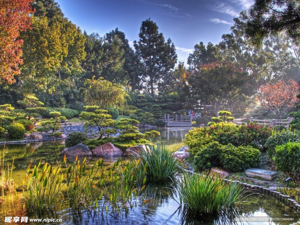 庭院 园林 山水