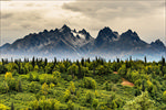 山 山林 森林