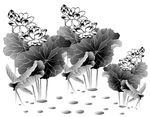 水墨画荷花