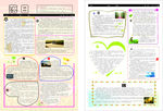 校园报纸 报刊 作文报
