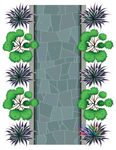 植物顶视图