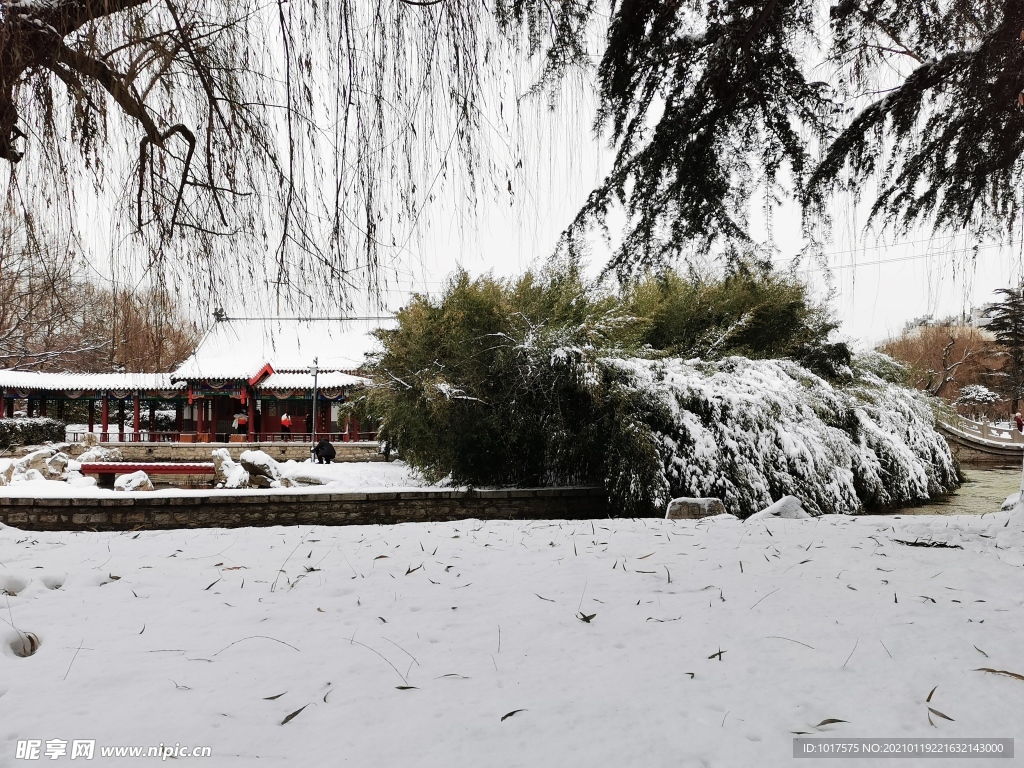 雪景