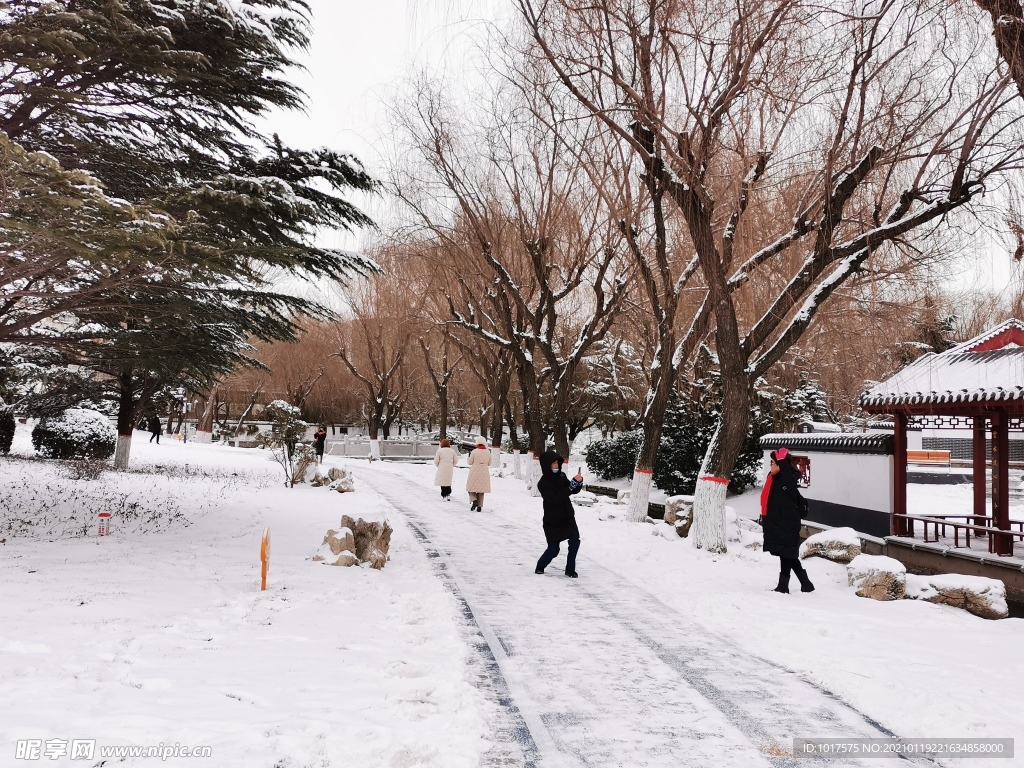 雪景